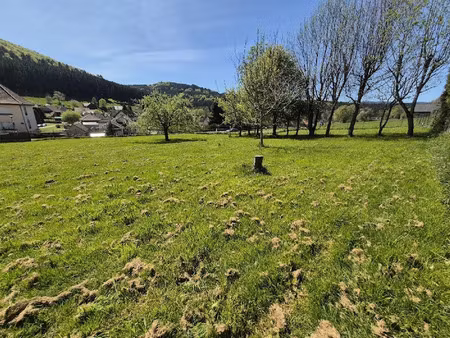 vente terrain à batir 799 m² à colroy-la-roche (67420)  45 000 €