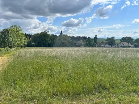 vente terrain 3383 m² à quenne (89290)  43 000 €