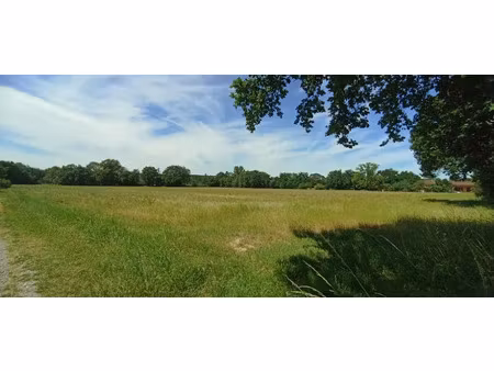 vente terrain 1000 m² à lagraulet-saint-nicolas (31480)  50 000 €