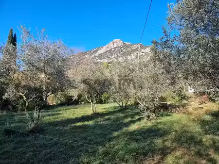 vente terrain 550 m² à saint-hippolyte-du-fort (30170)  82 500 €
