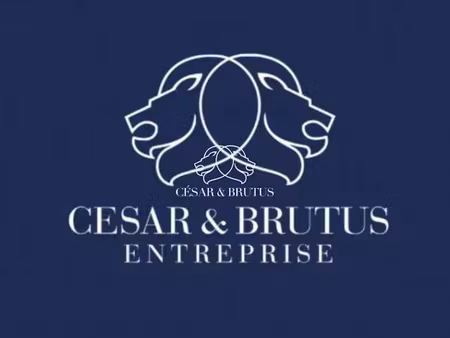vente locaux professionnels 0 pièces 50 m² à lyon 1er (69001)  16 800 €