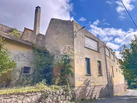 vente immeuble 1200 m² à bourg-de-thizy (69240)  149 000 €