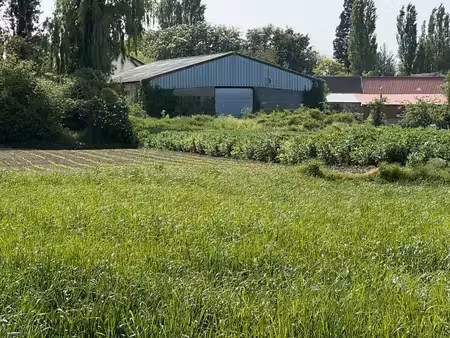location locaux professionnels 0 pièces 350 m² à arnouville-lès-mantes (78790)  1 100 €