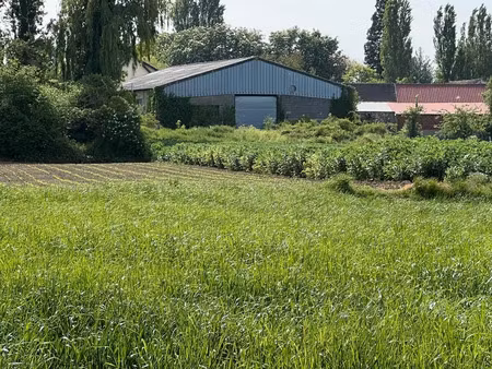 location locaux professionnels 350 m² à arnouville-lès-mantes (78790)  1 100 €