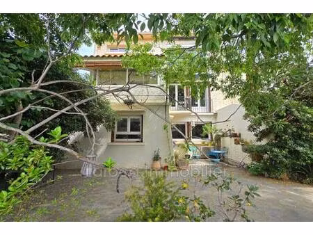 achat maison de village avec jardin à sorède