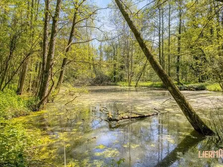 terrain à vendre à denderhoutem € 99.000 (lnt44) - immo lierman | zimmo