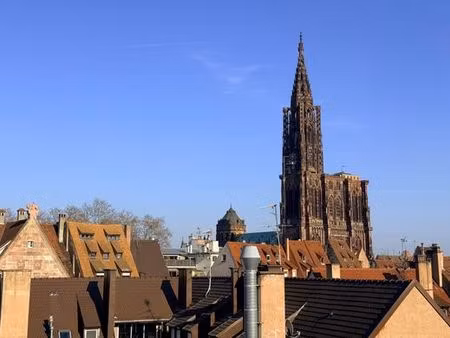 appartement de luxe de 5 pièces en vente à strasbourg  grand est