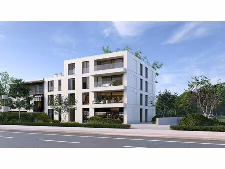 appartement te huur in edegem met 1 slaapkamer