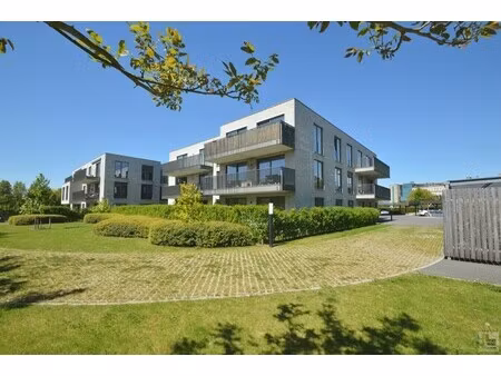 appartement te huur in ronse met 1 slaapkamer
