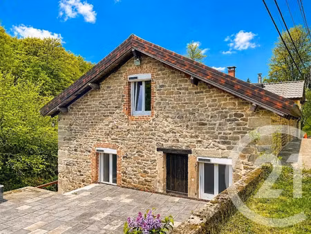 vente maison 6 pièces 148 m² à la vôge-les-bains (88240)  269 990 €