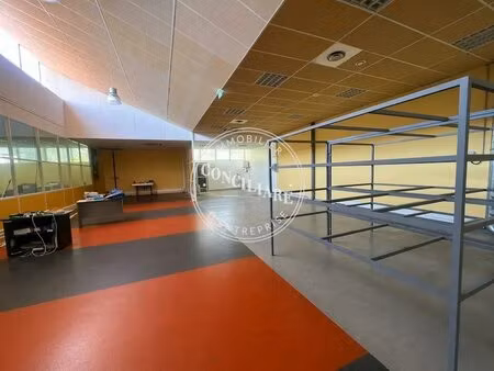 vente local d’activités toulouse 31100 600m²