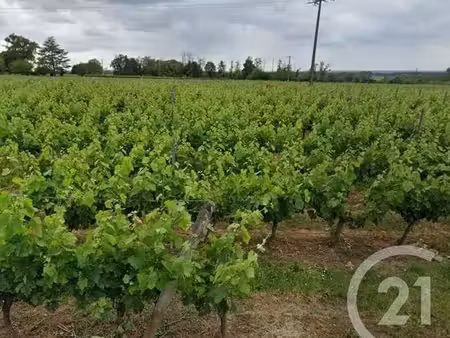 maison à vendre - 2 pièces - 350 m2 - lussac - 33 - aquitaine