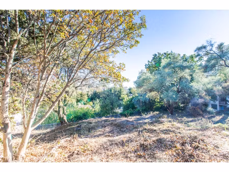 annonce terrain à vendre