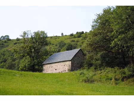 vente maison 2 pièces 135 m² saint-projet-de-salers (15140)