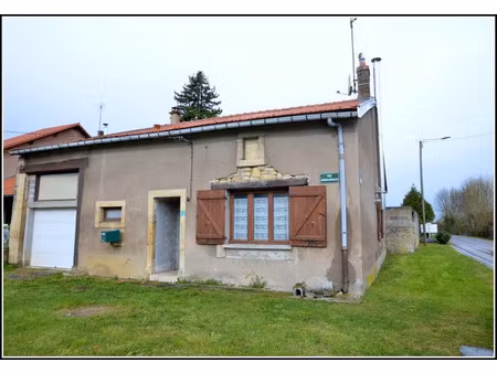 vente maison 4 pièces 90 m² saint-jean-lès-buzy (55400)