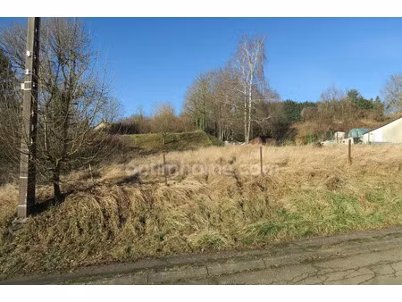 vente terrain 3004 m² pierrepont (54620)