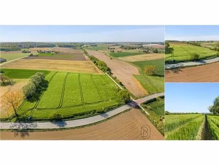 terrain à vendre à rue des blancs arbres pas de numéro buissenal (rbv81067)