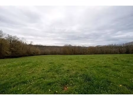 vente terrain lalongue 64350 88086m²