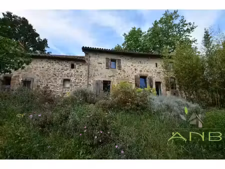 charmante maison en pierre rénovée - rouzède