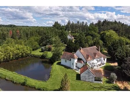 maison villeneuve sur allier 5 pièce(s) 220 m2