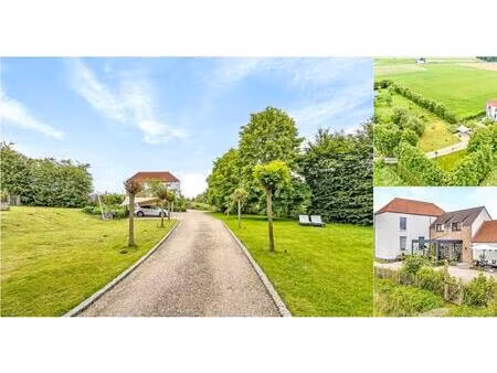maison à vendre avec terrasse et jardin   audenarde (rbv81130)