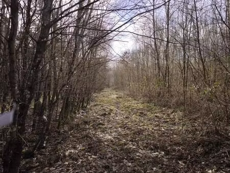 exceptionnel en sologne – 28 hectares d'un seul tenant