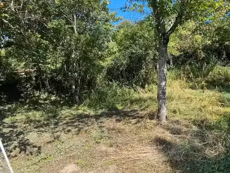 vente terrain 1294 m² à grenant-lès-sombernon (21540)  55 000 €
