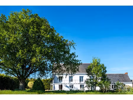 ancienne ferme viticole (2 logements) rénovée 1972/1993 230 m² proche d'ancenis