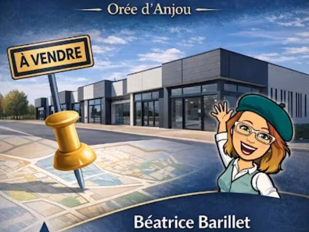 vente locaux professionnels 0 pièces 67 m² à saint-laurent-des-autels (49270)  116 000 €