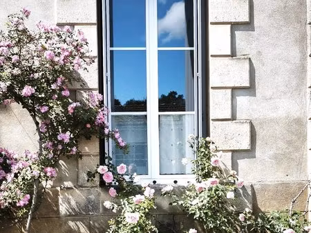 centre de pouillon 540 m2