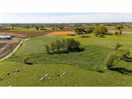 terres agricoles