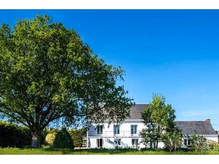 vente maison à mésanger (44522) : à vendre / 229m² mésanger