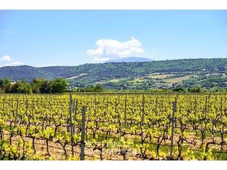 domaine viticole confidentiel en drôme provençale
