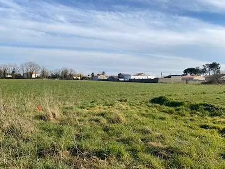 vente terrain à vieillevigne (44116) : à vendre / vieillevigne
