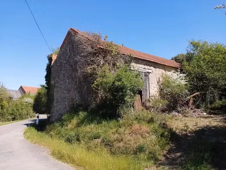vente maison à pouligny-notre-dame (36160)  13 000 €