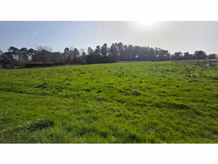 terrain constructible montrem 2711 m2