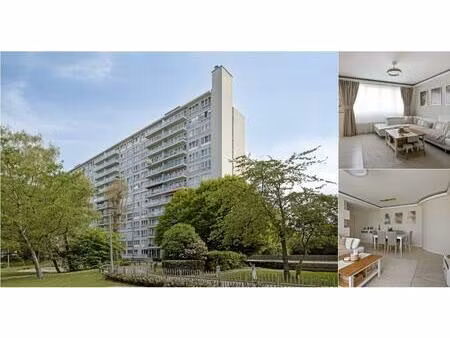 appartement à vendre à breughelpark 1 relegem (rbv81333)