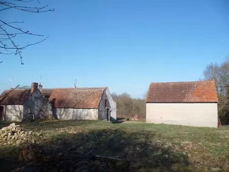vente garage la chapelle-montmartin (41320)