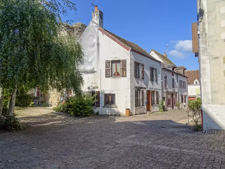 vente maison 7 pièces 123 m² mennetou-sur-cher (41320)