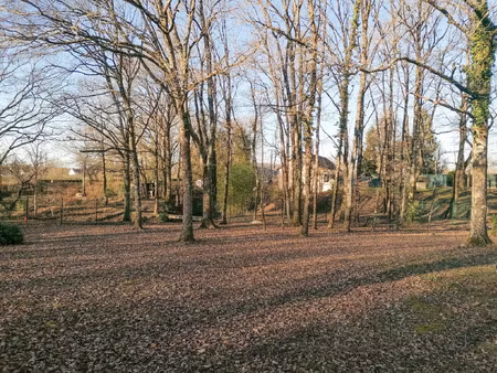 vente terrain 1480 m² romorantin-lanthenay (41200)