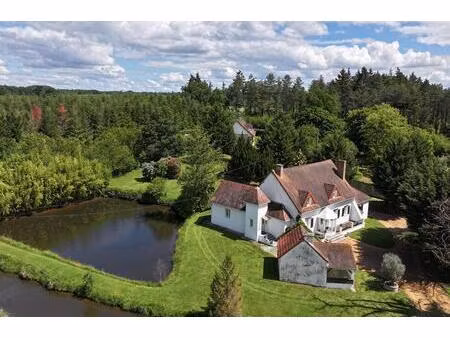 maison villeneuve sur allier 5 pièce(s) 220 m2