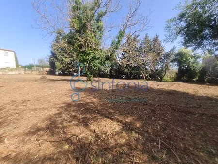 grand terrain constructible 2 000 m2 environ