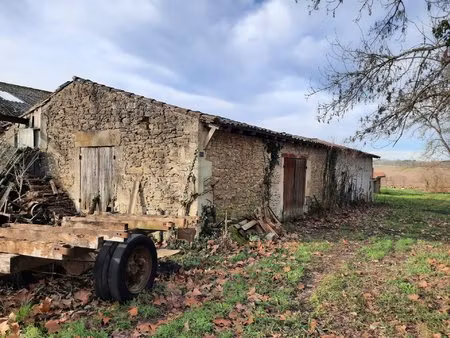ancien chai à réhabiliter sur terrain arboré de 6100 m2