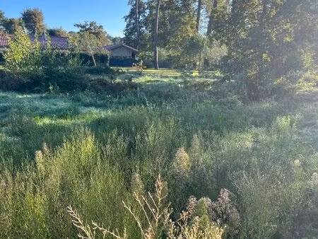 terrain à bâtir à castelnau-de-médoc (33480)