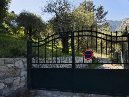 vente terrain à gorbio (06500) : à vendre / 1522m² gorbio