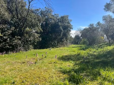 vente terrain à construire 800 m² saint-maximin-la-sainte-baume (83470)
