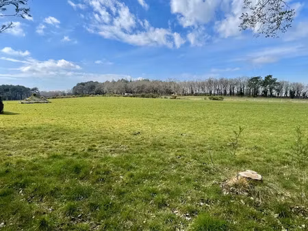 vente maison 5 pièces 170 m² à theix-noyalo (56450)  1 145 000 €