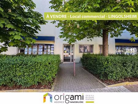 nouveauté origami en exclusivité sur lingolsheim - spécial investisseurs