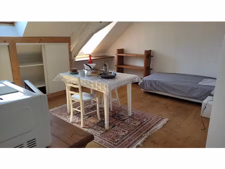 location meublée appartement 1 pièce 20 m² à bourges (18000)  480 €