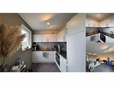 appartement à louer à rue du stade 43 bertrix (vbe17463)